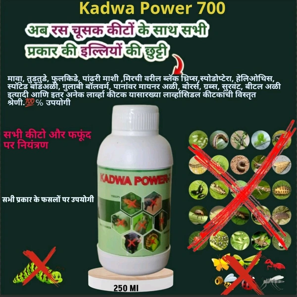 Kadwa Power -700 250 Ml - Teal, 250ML