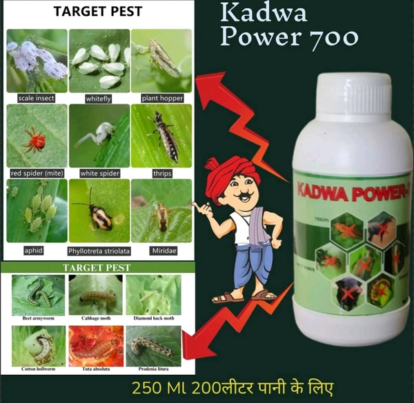 Kadwa Power -700 250 Ml - Teal, 250ML