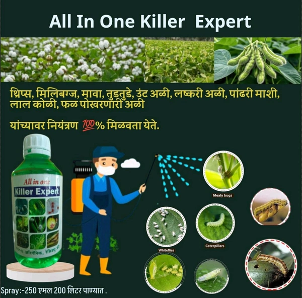 All In One Killer Expert 500 Ml Buy 2 Gate 1 Free Diwali Offer 2025 🪔🪔🪔