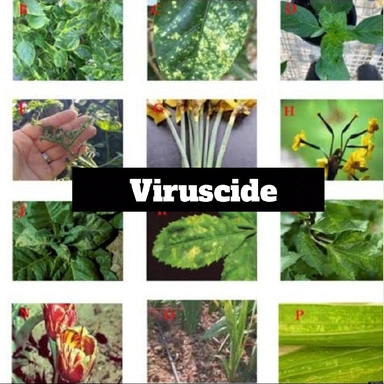 Viruscide