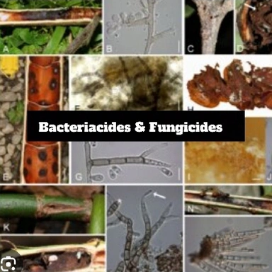 Bactaricides & Fungicides