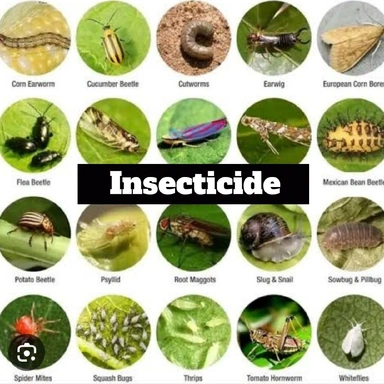 Insecticides