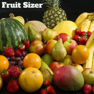 Fruit Sizer