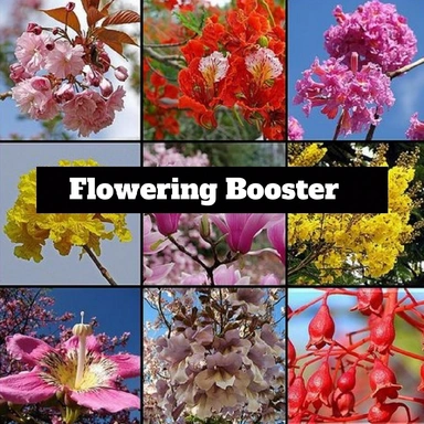 Flowering  Booster