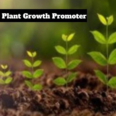 Plant Growth Prmotors