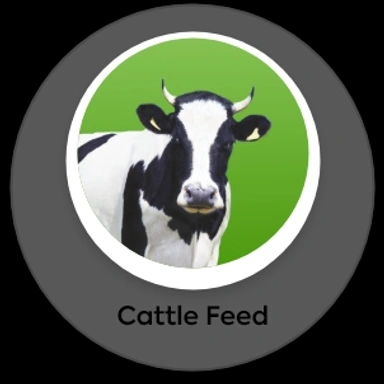 Cattle Feed