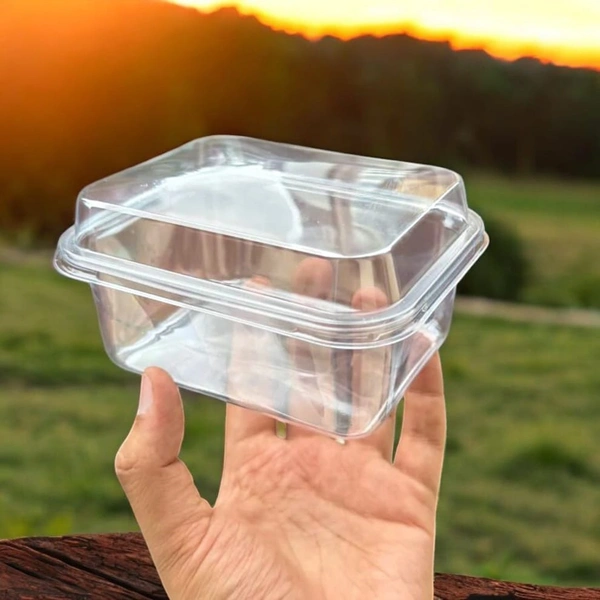 The Baking Curv Rectangle Tiramisu Plastic Container| Sturdy | Sleek