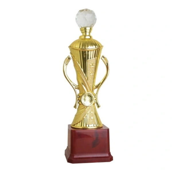 310/D Trophy - 11 Inches