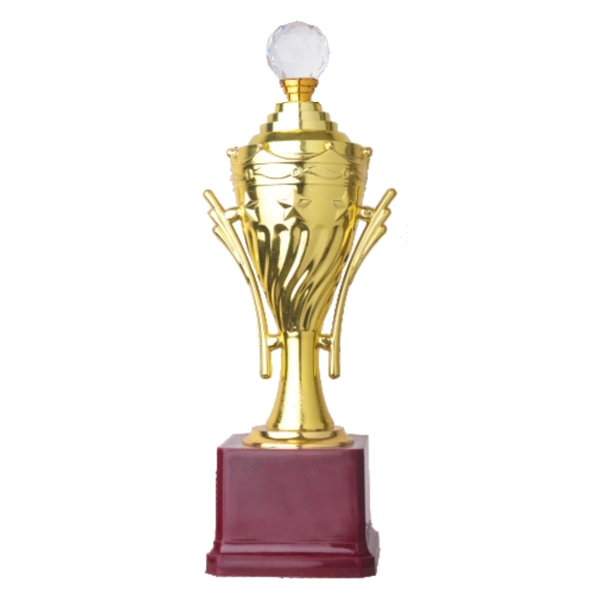 303/D Trophy - 11 Inches