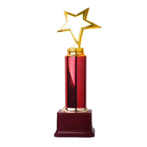 411 Trophy - 11 Inches