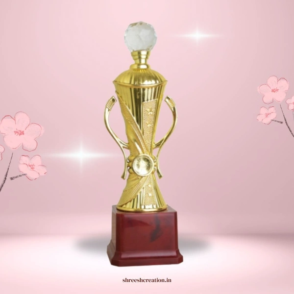 F020 | Fiber Trophy - 13 INCHES