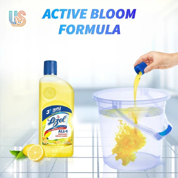Lizol Disinfectant Surface and Floor Cleaner Citrus - 625ML