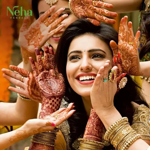 Neha Herbals Mehendi Cone 25gm