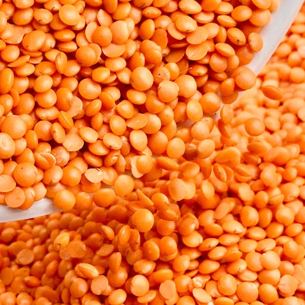 Masoor Dal 