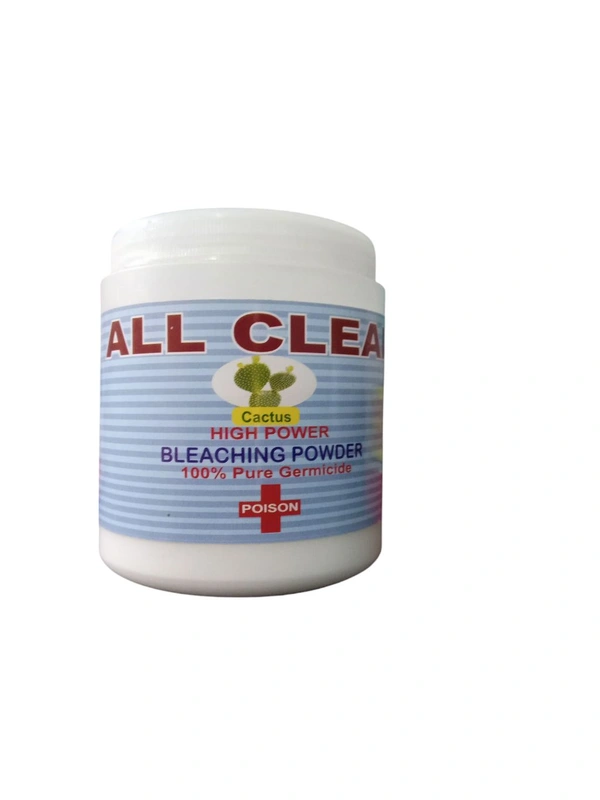 ALL CLEAN BLEACHING POWDER, 300GM 1NOS.