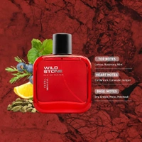 Wild Stone Ultra Sensual Perfume Spray For Men, 50Ml