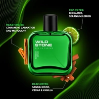 Wild Stone Forest Spice EDP Premium Perfume for Men, 100 Ml | Long-lasting Eau De Parfum | Luxury Fragrances | Woody Masculine Men perfume