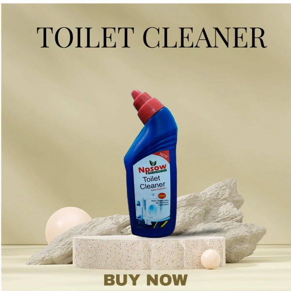Toilet Cleaner - 500