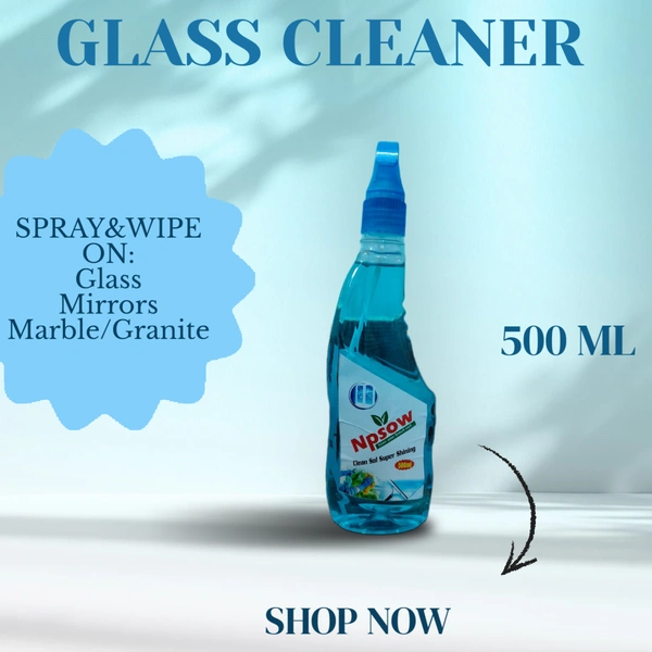 GLASS CLEANER 500 ML