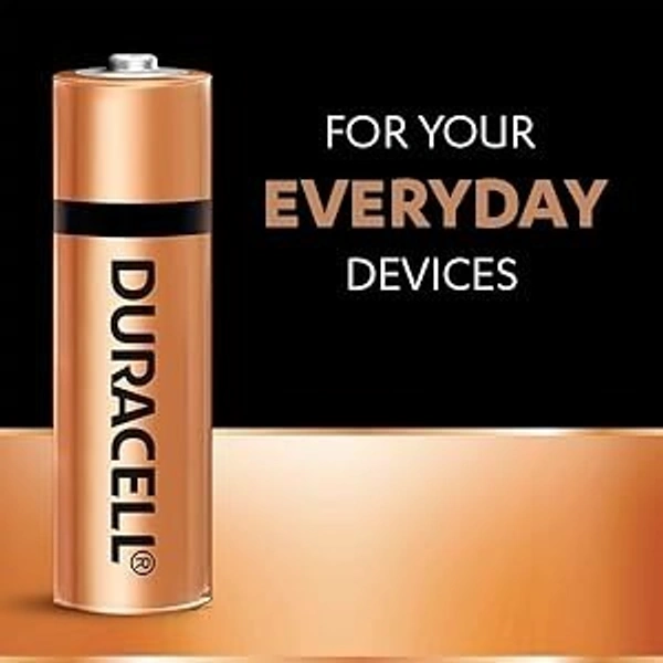 DURACELL AA 22/-