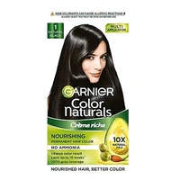 GARNIER HAIR COLOR (NO1) 