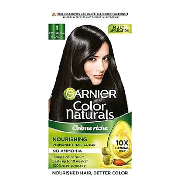 GARNIER HAIR COLOR (NO1) 