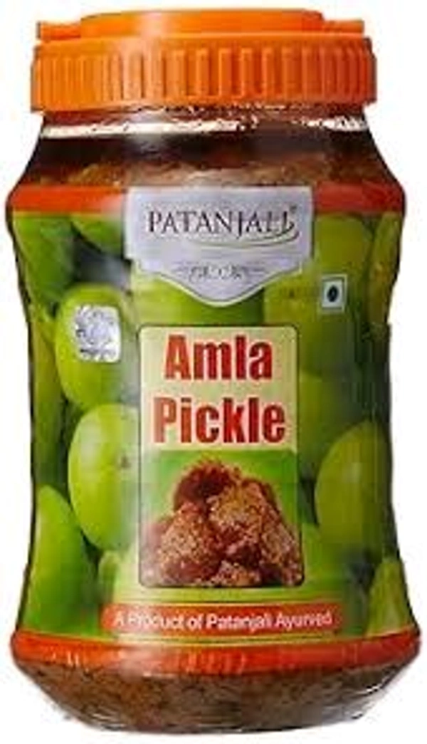 PATANJALI AMLA PICKLE 