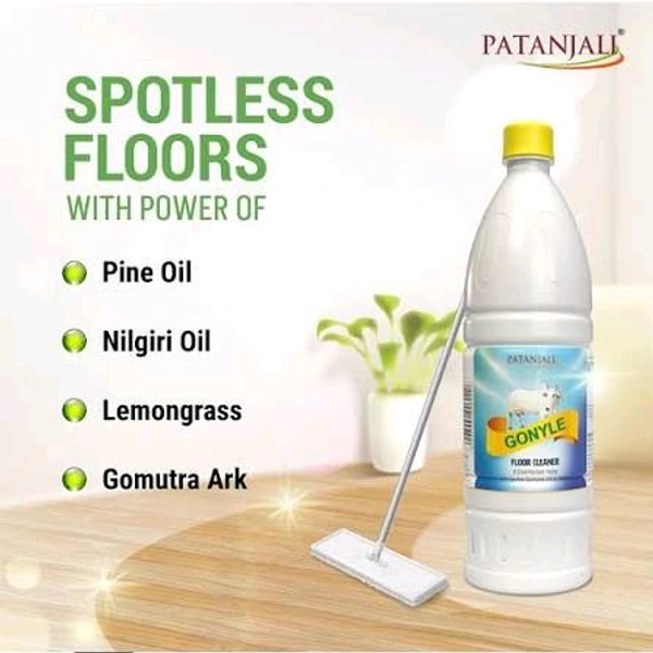PATANJALI GONYLE CLEANER