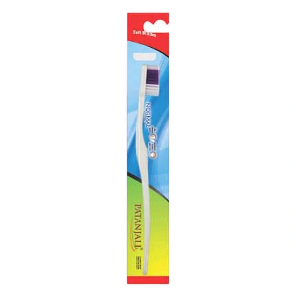 PATANJALI NORMAL BRUSH 