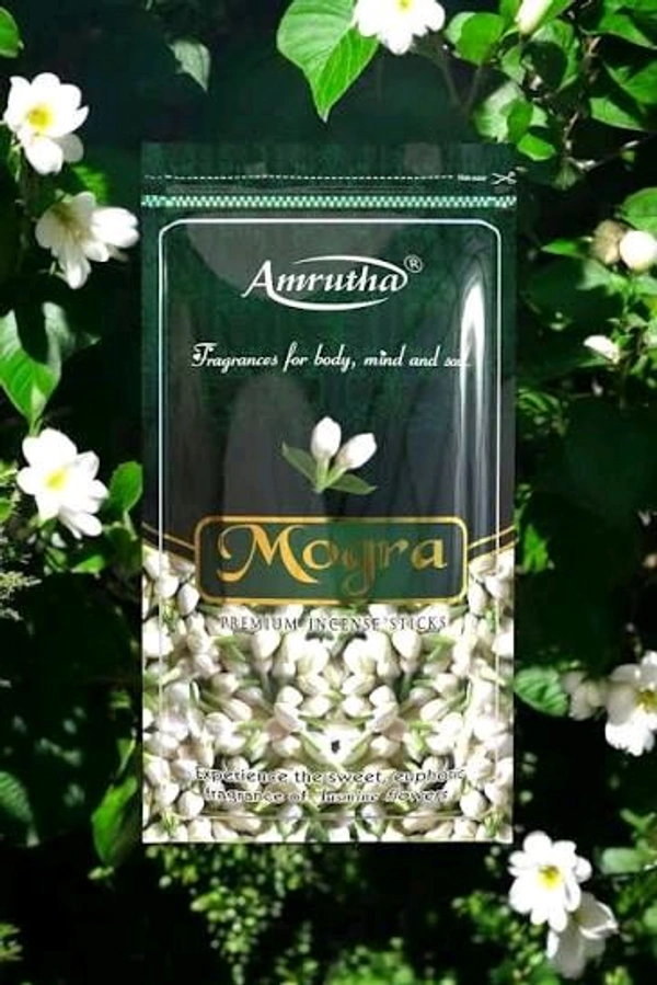 AMRITA MOGRA STICKS