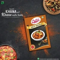 CATCH MEAT MASALA 