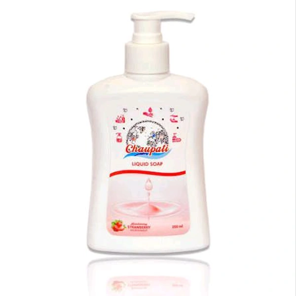 CHAUPATI HAND WASH