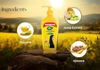 DABUR SARASO AMLA OIL 500ML