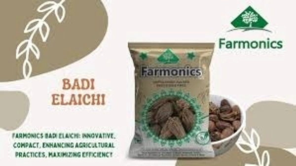 DAILY BADI ELAICHIC(100G)189/-