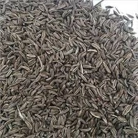 DAILY SIYAH JIRA(100G)122/-