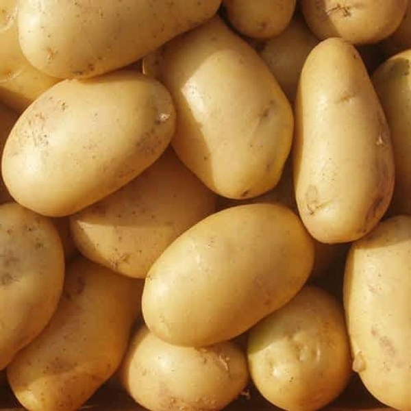 Jyoti Potato 1 Kg - All Varity
