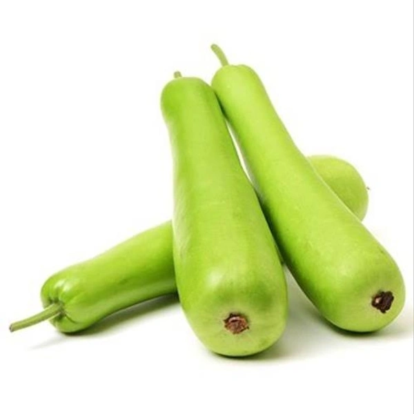Bottle Gourd- Lauki 1 Pc