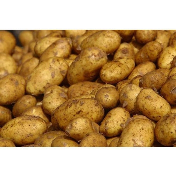 New Potato ( Natun Alu) 1 Kg