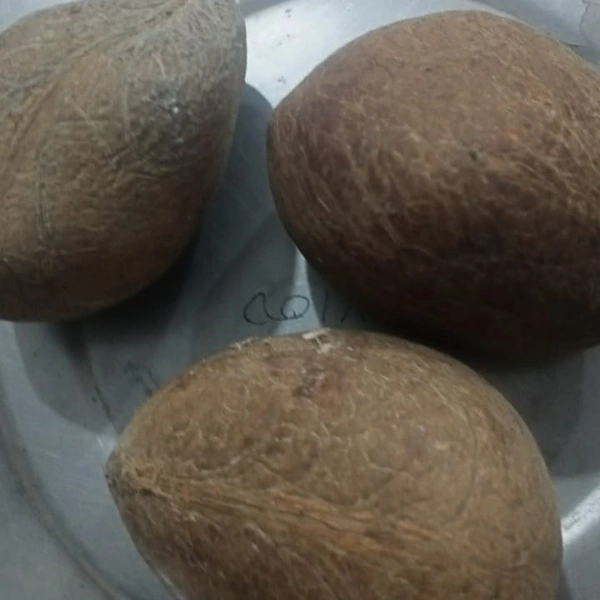 Dab (Gut/Dry Coconut) - 250g