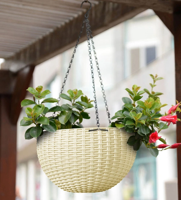 Flower Pot (Hanging) - Diameter 8.5 inch., Blue, Red, White & Yellow