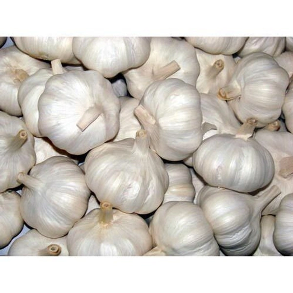 Garlic (Lahsun, Nohoru) - 1kg
