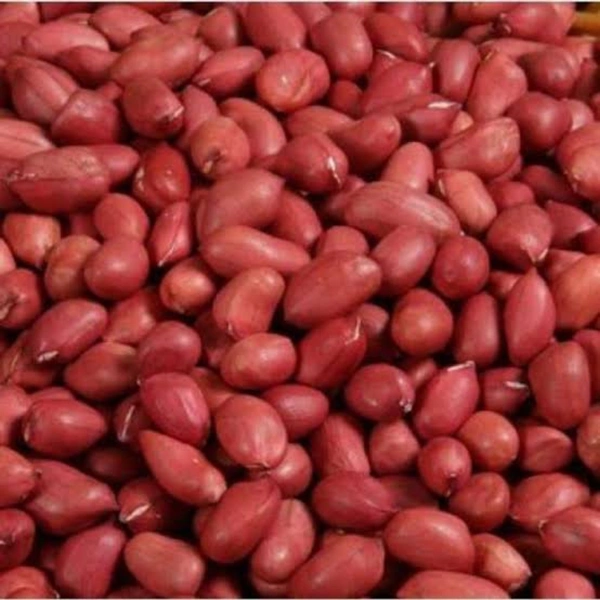Kacha Badam (Groundnut) - 100g