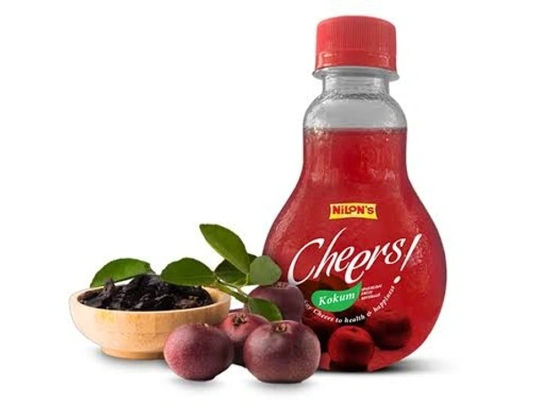 Nilons Cheers Juice - 250ml