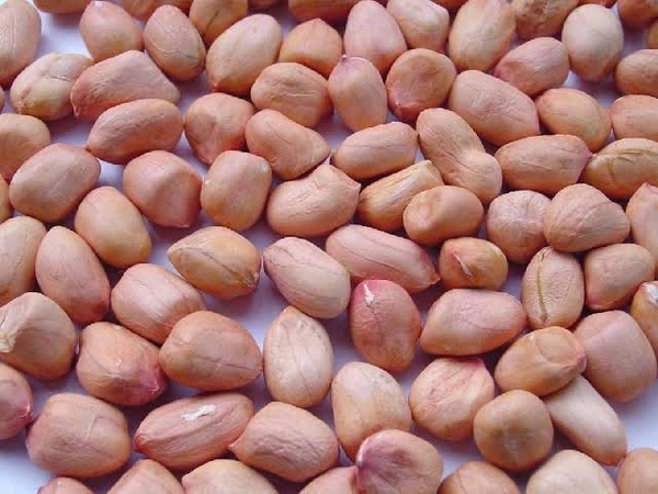 Safed Badam (Singdana) - 1kg