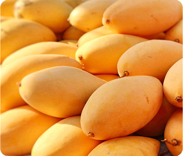 Mango ( 500gm ) - 