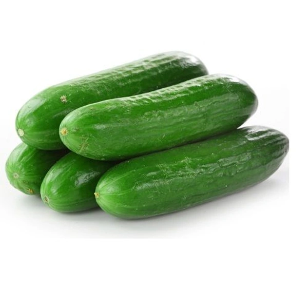 Kheera ( 500 Gm )