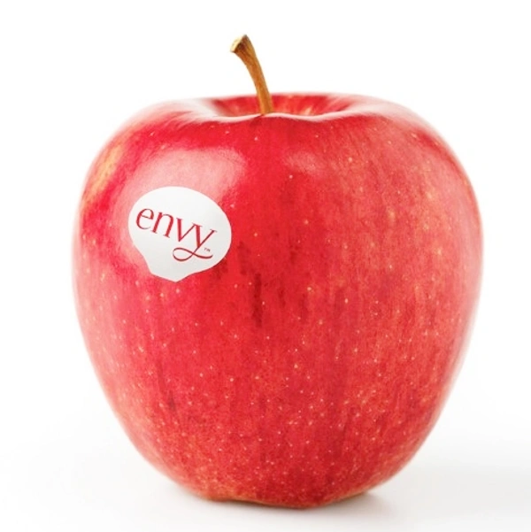 Apple ( 500gm ) - 