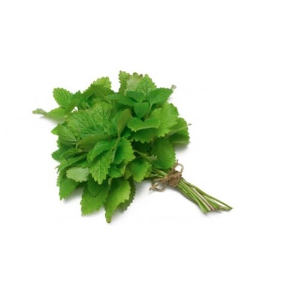 Podina Patta ( 100gm ) - 