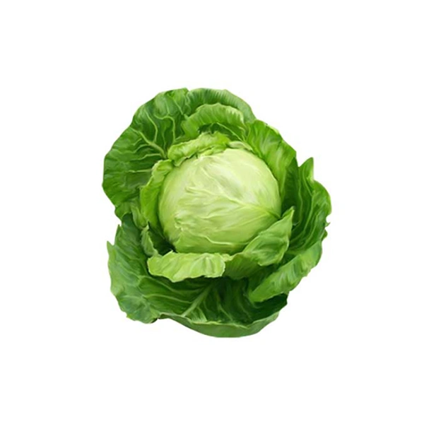Bhandha ( 500 Gm ) - 