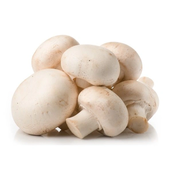 Mushrooms